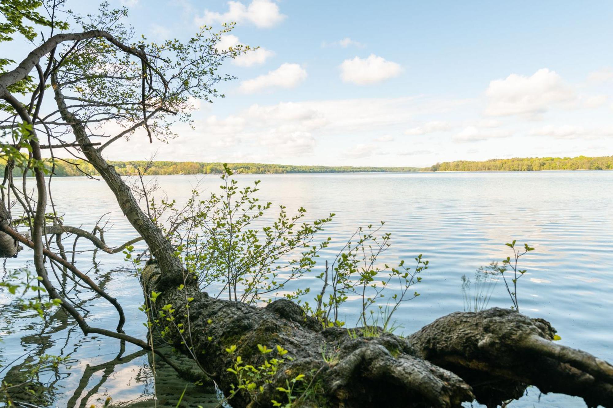 Budget Seezeit-Resort Am Werbellinsee Altenhof  Ngoại thất bức ảnh